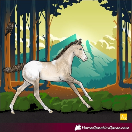Horse Color:Buckskin Pearl Sabino Tobiano Snowcap 