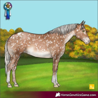 Horse Color:Silver Brown Pearl Tobiano Snowflake Varnish 