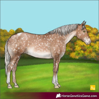 Horse Color:Silver Brown Pearl Tobiano Snowflake Varnish 