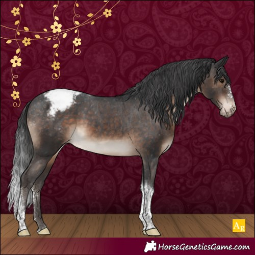Horse Color:Brown Sabino Tobiano Appaloosa Rabicano 