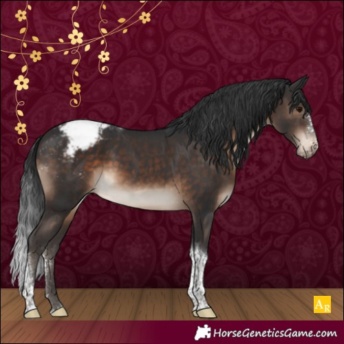 Horse Color:Brown Sabino Tobiano Appaloosa Rabicano 