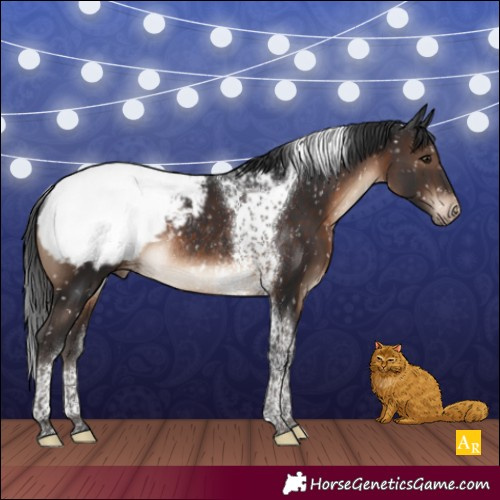 Horse Color:Brown Tobiano Snowcap Rabicano 