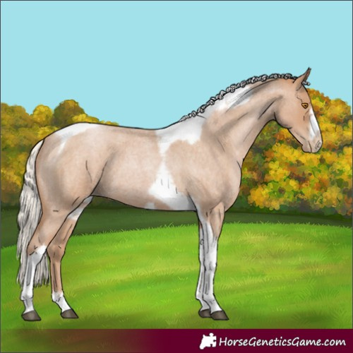 Horse Color:Silver Blue Roan Pearl Tobiano Frame