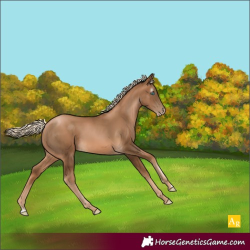 Horse Color:Gray Chocolate Palomino Pearl Rabicano