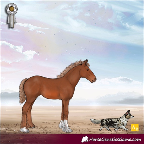 Horse Color:Chestnut Tobiano 