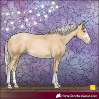 Horse Color:Palomino Pearl