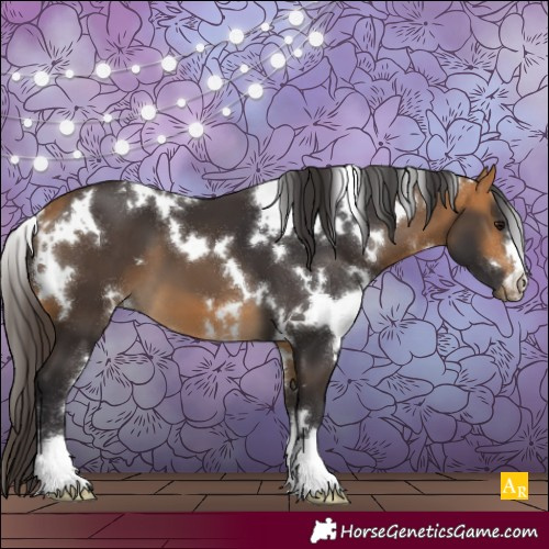 Horse Color:White Spotted Buckskin 