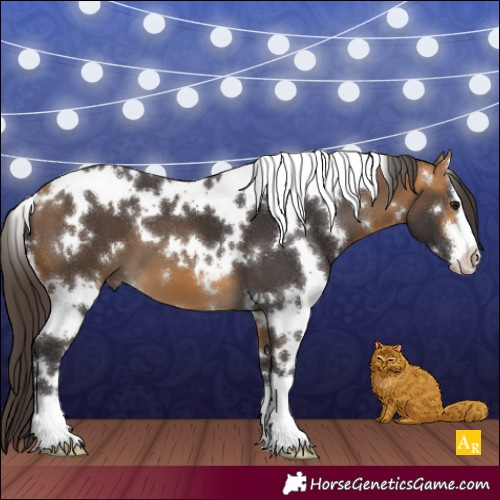 Horse Color:White Spotted Buckskin 