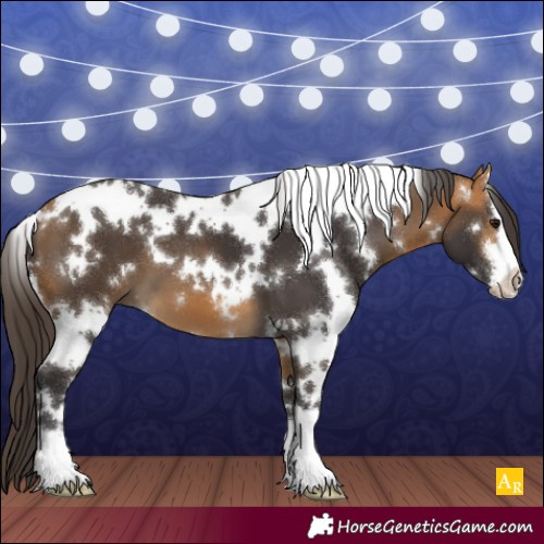 Horse Color:White Spotted Buckskin