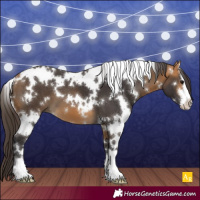 Horse Color:White Spotted Buckskin