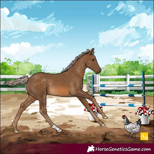 Horse Color:Chocolate Palomino Rabicano