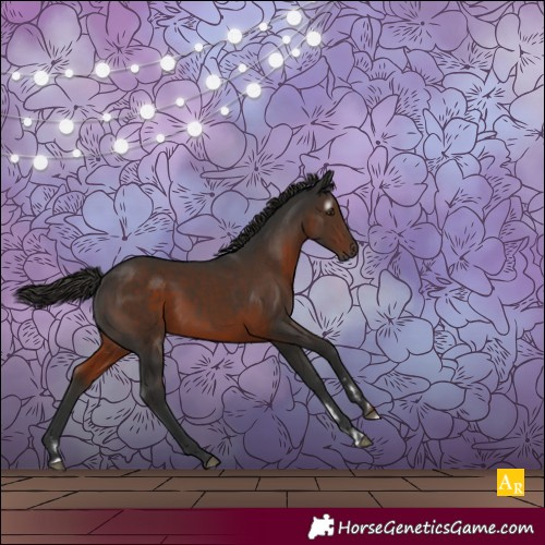 Horse Color:Gray Liver Chestnut 