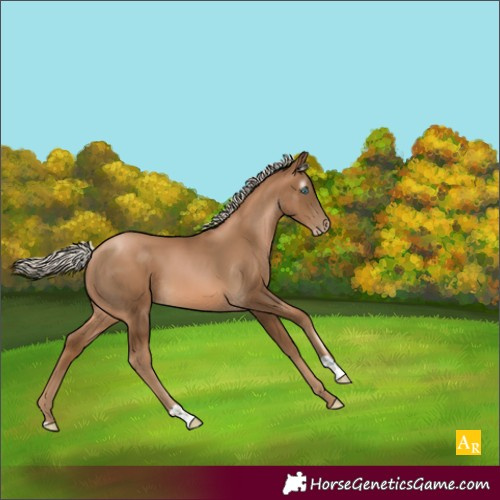 Horse Color:Gray Chocolate Palomino Pearl