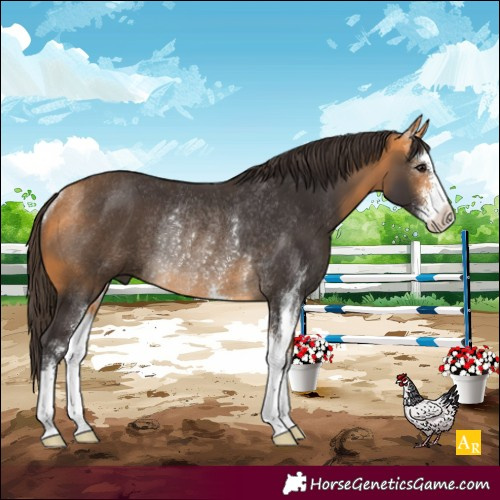 Horse Color:Buckskin Sabino Rabicano 