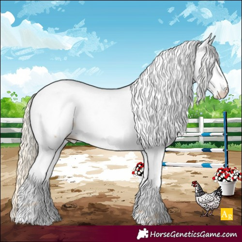 Horse Color:White Spotted Gold Cream Champagne Appaloosa 