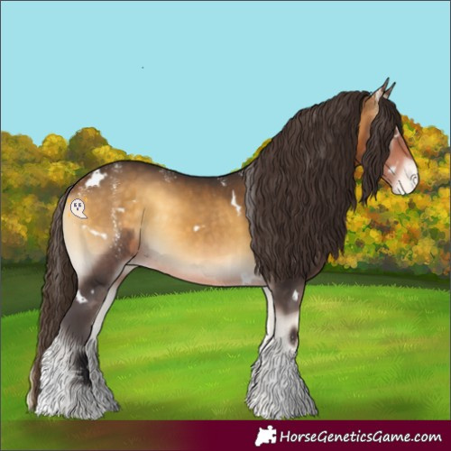 Horse Color:Powder White White Spotted Buckskin Onyx Varnish Rabicano 