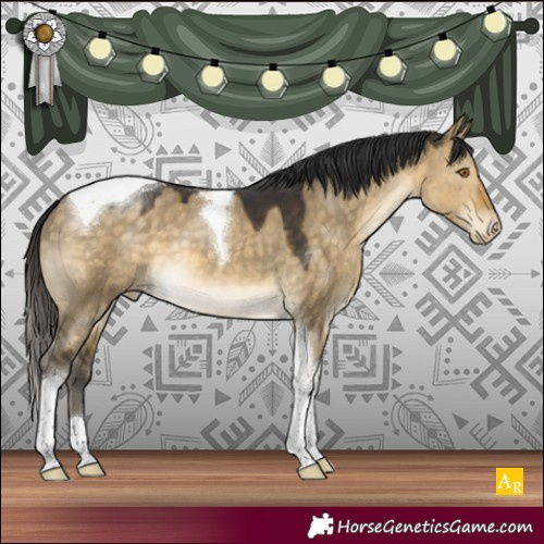 Horse Color:Buckskin Dun Tobiano Varnish 