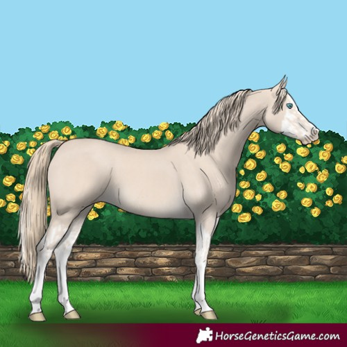 Horse Color:Smoky Creme Splash  and Smoky Creme Splash 