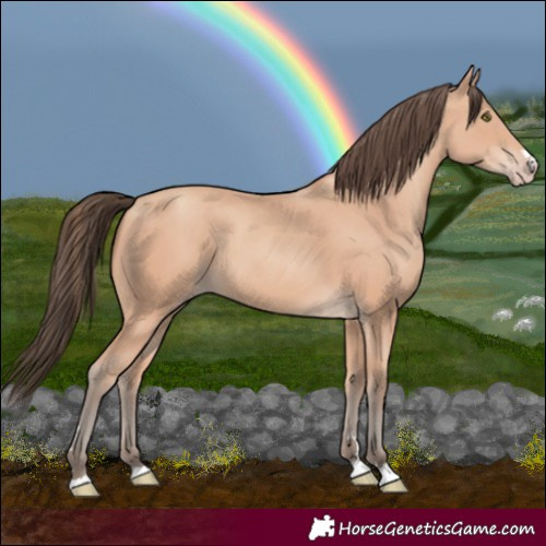Horse Color:Amber Champagne 