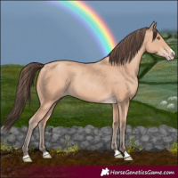 Horse Color:Amber Champagne 