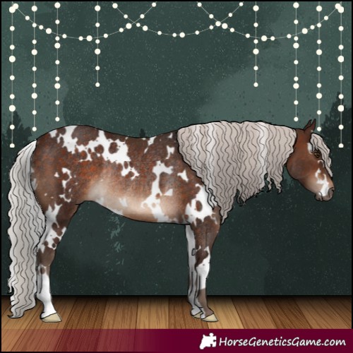 Horse Color:White Spotted Silver Brown Rabicano 