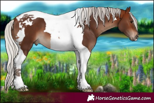 Horse Color:Silver Brown Tobiano 