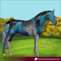 Horse Color:ERROR: UNKNOWN ANOMALY