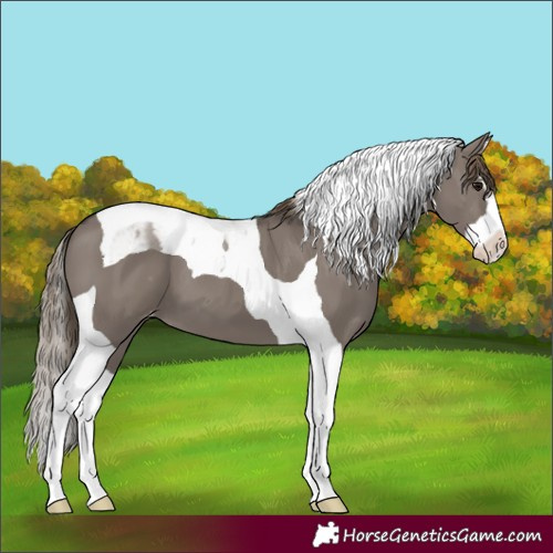 Horse Color:Smoky Grullo Splash Tobiano Varnish 