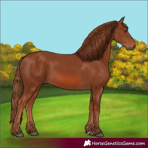 Horse Color:Chestnut 