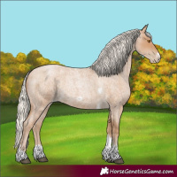 Horse Color:Silver Blue Roan Pearl Tobiano Frame 