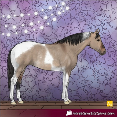 Horse Color:Brown Dun Tobiano Rabicano 