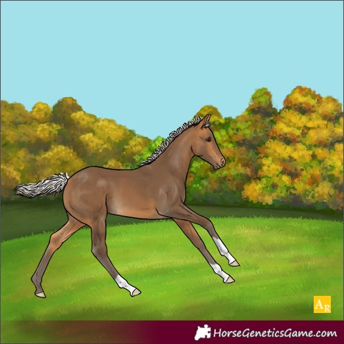 Horse Color:Silver Buckskin 