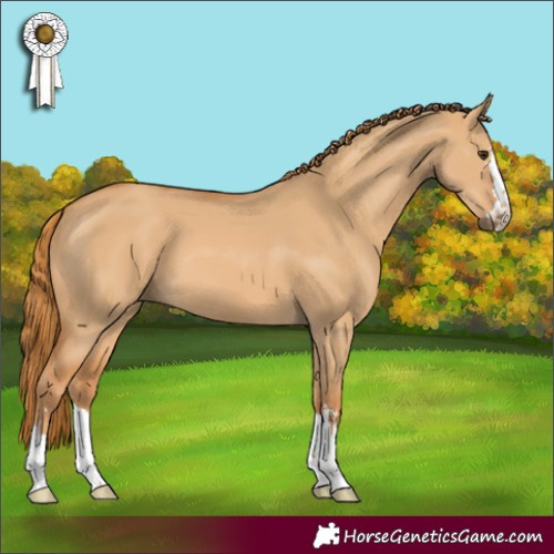 Horse Color:Red Dun 