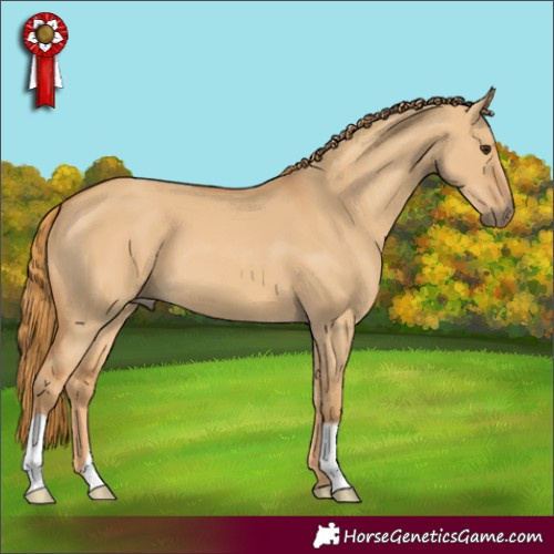 Horse Color:Red Dun 