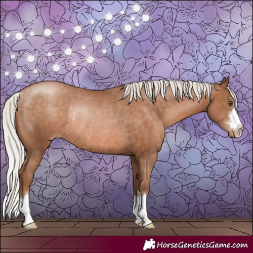 Horse Color:Silver Brown Pearl Rabicano 