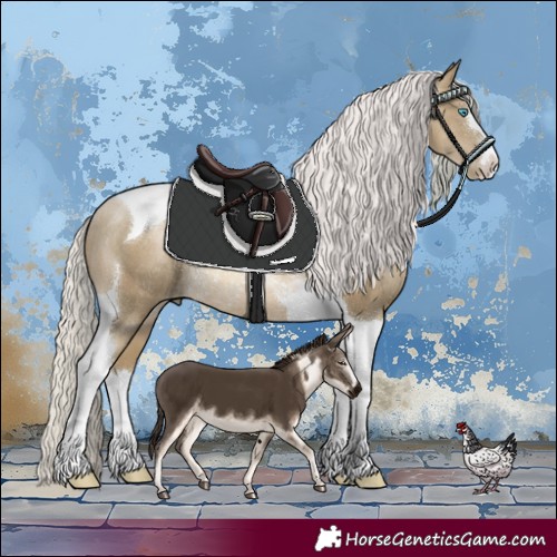 Horse Color:Silver Smoky Black Pearl Tobiano Rabicano 