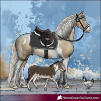Horse Color:Silver Smoky Black Pearl Tobiano Rabicano 
