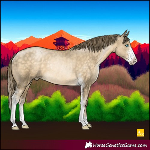 Horse Color:Buckskin Pearl Sabino Rabicano