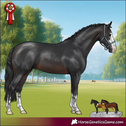 Horse Color:Brown 