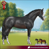 Horse Color:Brown 