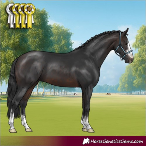 Horse Color:Brown 