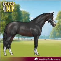 Horse Color:Brown 