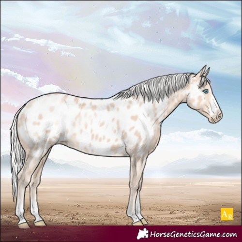 Horse Color:Silver Perlino Appaloosa
