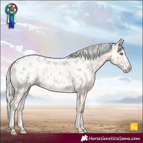 Horse Color:Silver Perlino Appaloosa