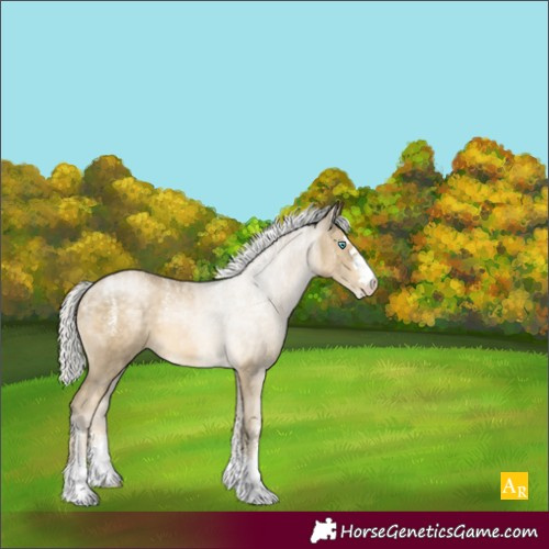 Horse Color:Powder White Silver Buckskin Pearl 