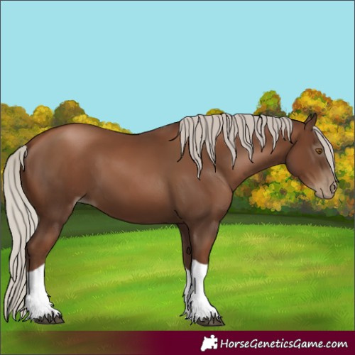 Horse Color:Gray Silver Black Pearl Tobiano