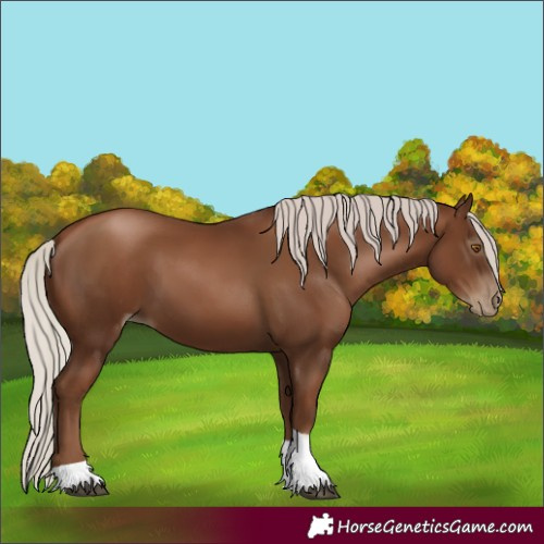 Horse Color:Gray Silver Black Pearl Tobiano