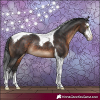 Horse Color:Brown Sabino Tobiano Appaloosa Rabicano 