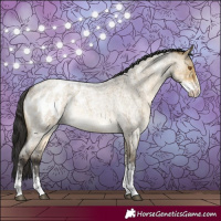 Horse Color:Buckskin Roan Dun Sabino Blanket Rabicano Brindle
