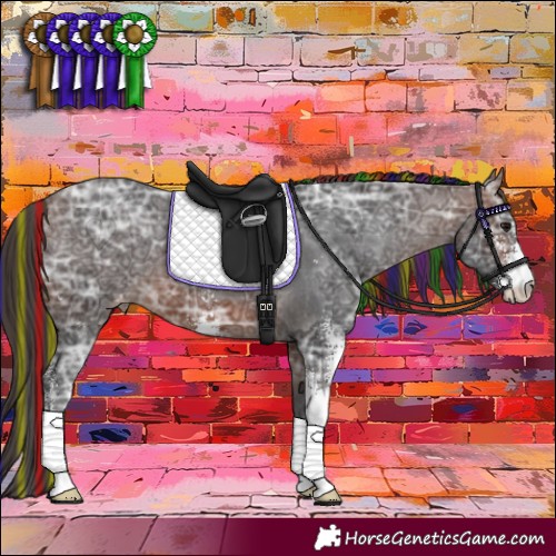 Horse Color:Painted Brown Ice Sabino Appaloosa 